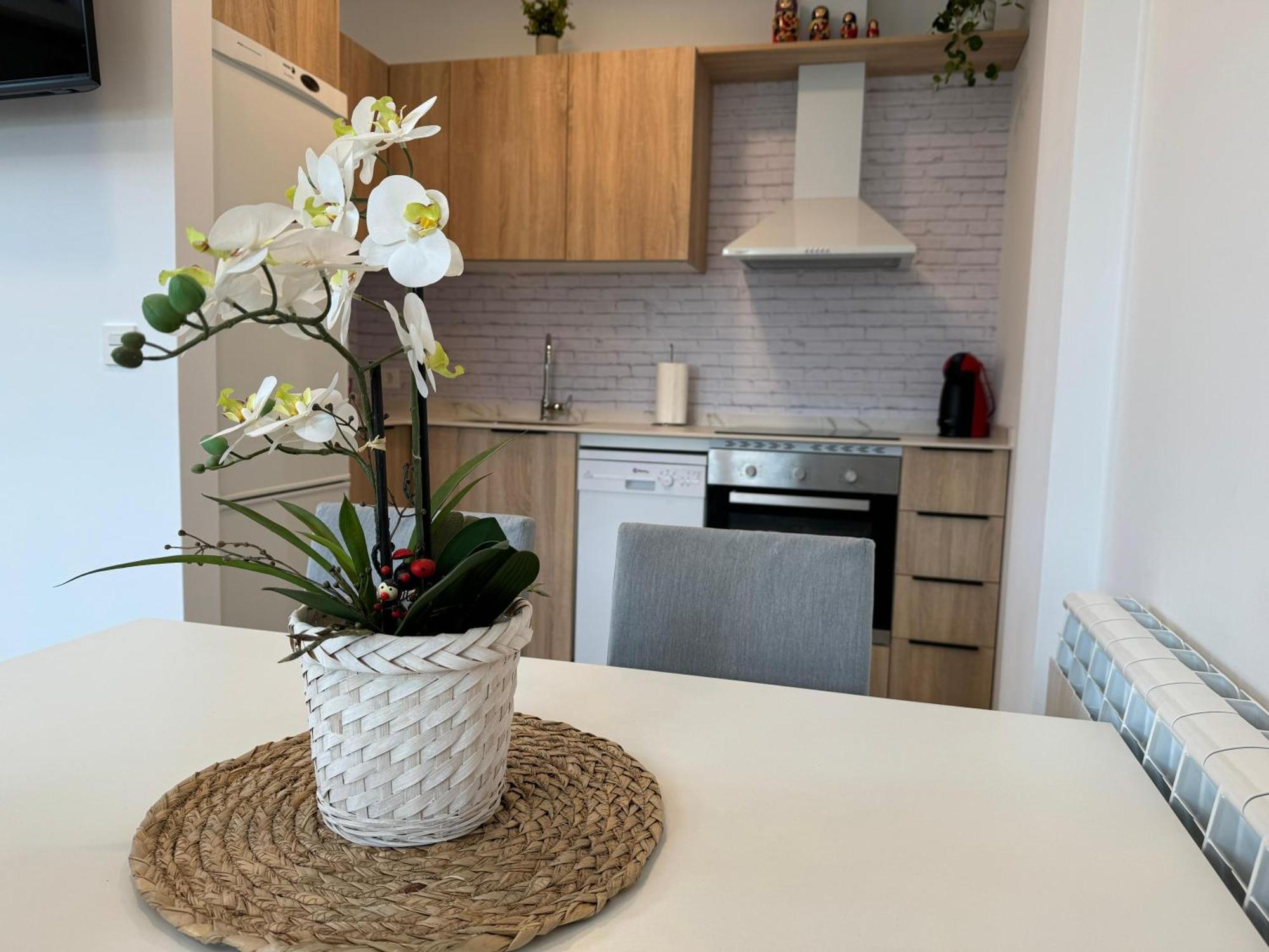 Apartamentos Montejurra 阿耶圭 外观 照片